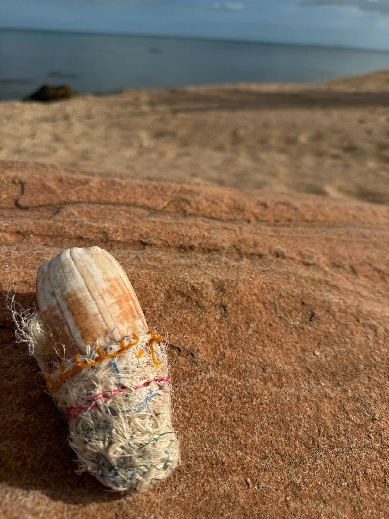 Dadikwakwa-kwa – Doll Shell by Maureen Bara