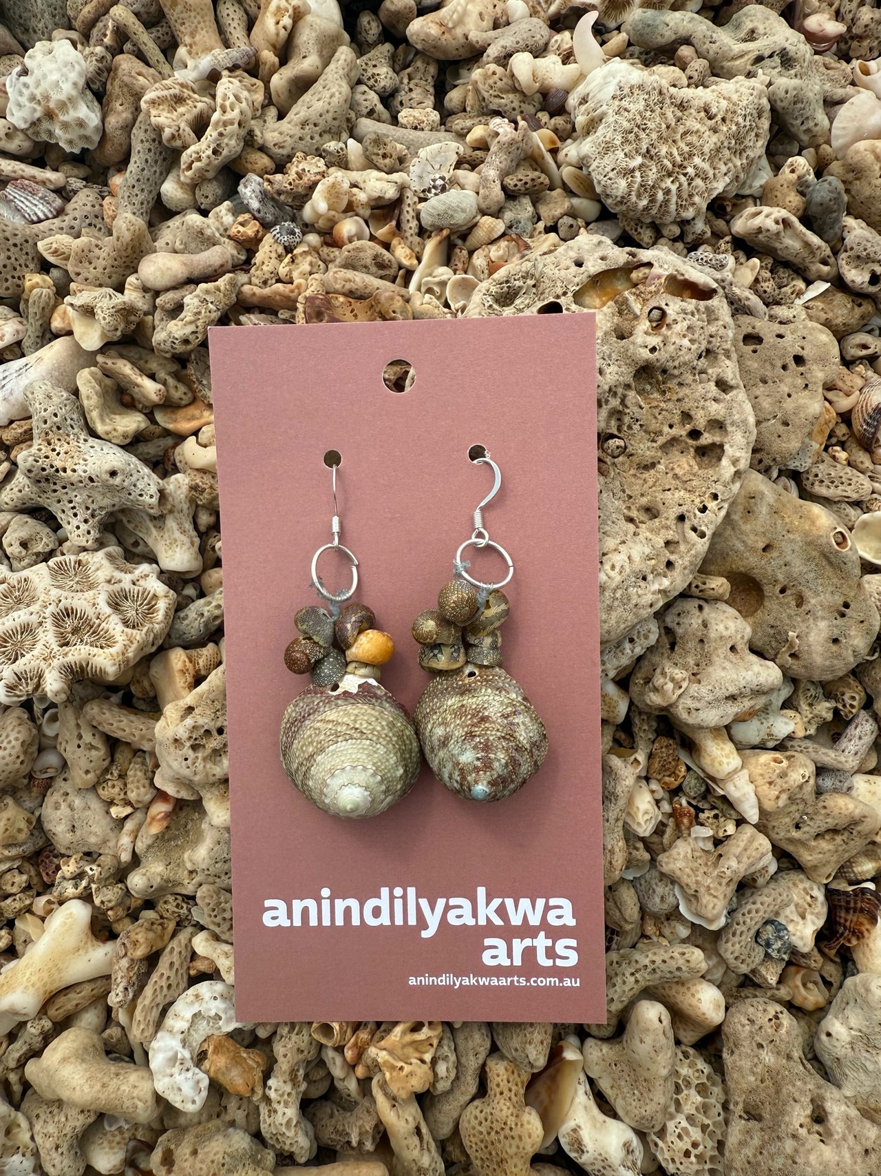 Seashell Earrings by Natalie Yantarrnga