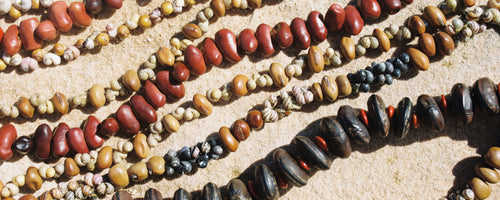 Seed and Shell Jewellery