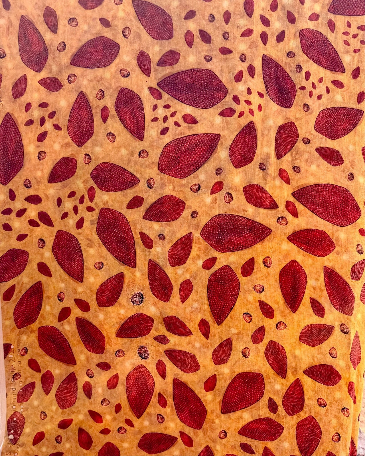 Dadikwakwa-kwa Doll Shell Digital Print Sharna Wurramara x Anna Reynolds
