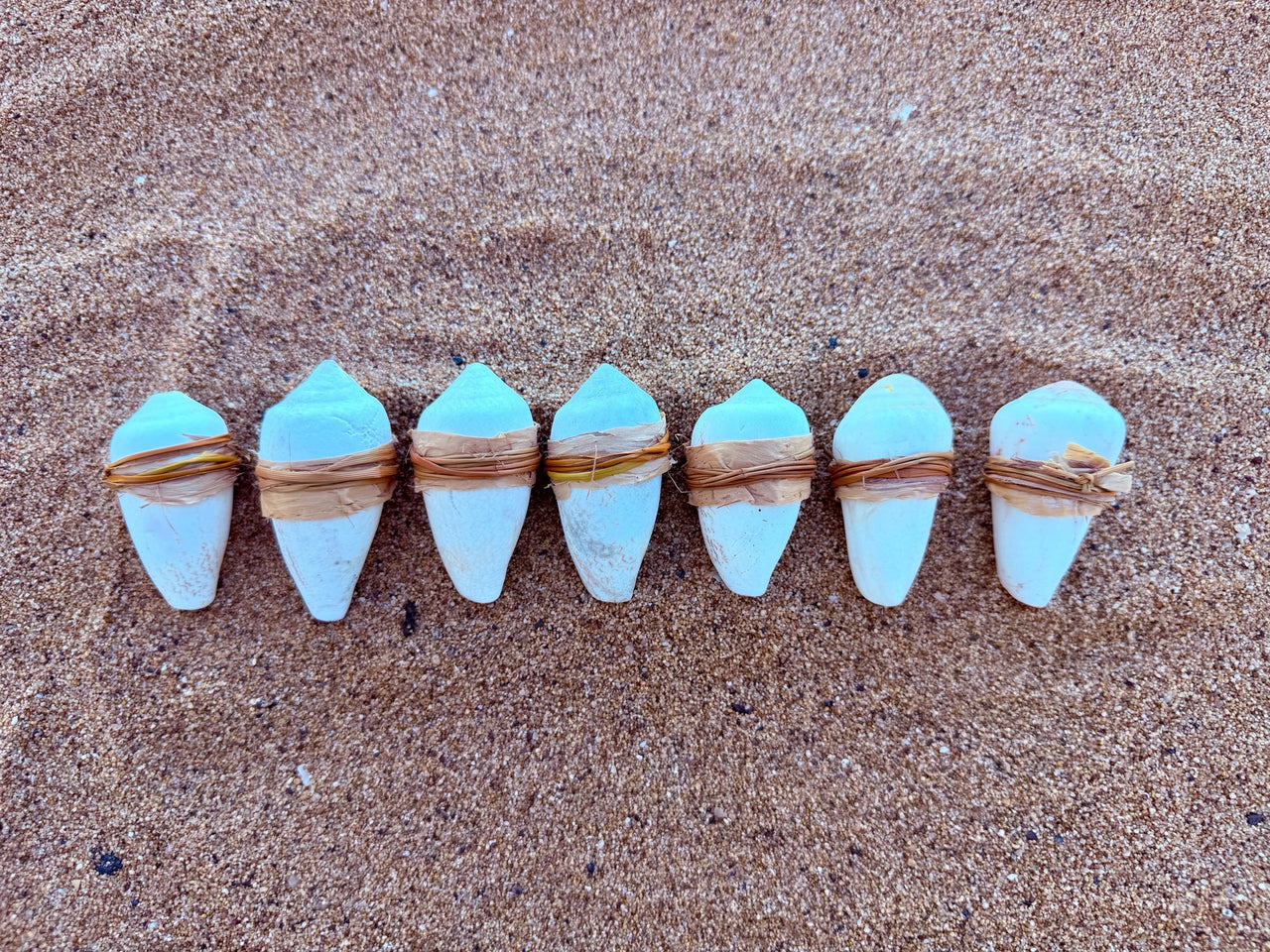 Dadikwakwa-kwa – Doll Shells by Sharna Wurramara